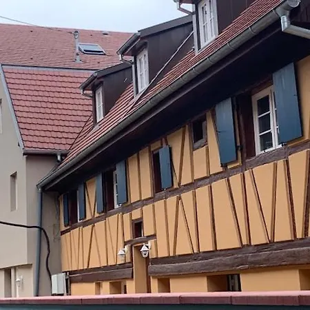 Coeur D'Alsace Colmar Vignobles Ouest Avec Terrasses Villa Wintzenheim Exterior photo