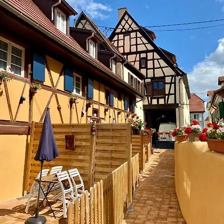 Coeur D'Alsace Colmar Vignobles Ouest Avec Terrasses Villa Wintzenheim Exterior photo