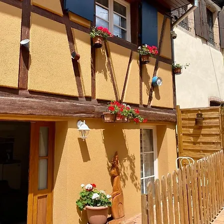 Coeur D'Alsace Colmar Vignobles Ouest Avec Terrasses Villa Wintzenheim Exterior photo