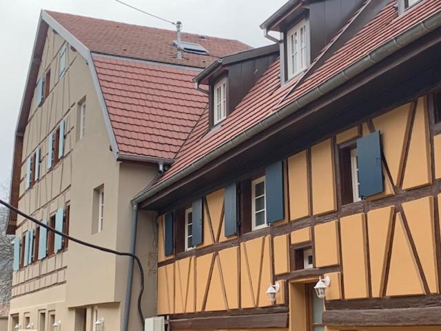 Villa Coeur D'alsace Colmar Vignobles Ouest Avec Terrasses *