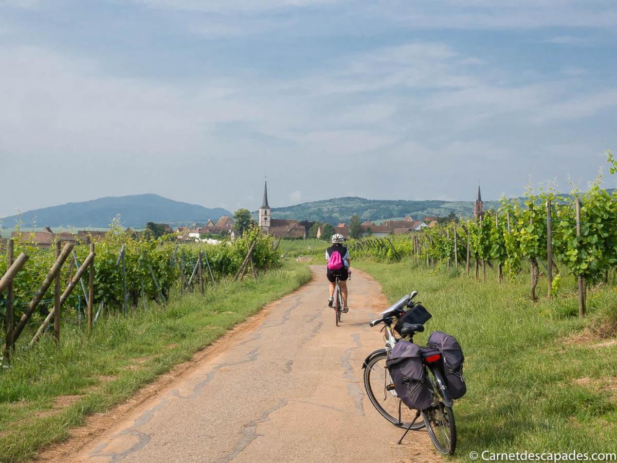 Coeur D'alsace Colmar Vignobles Ouest Avec Terrasses *