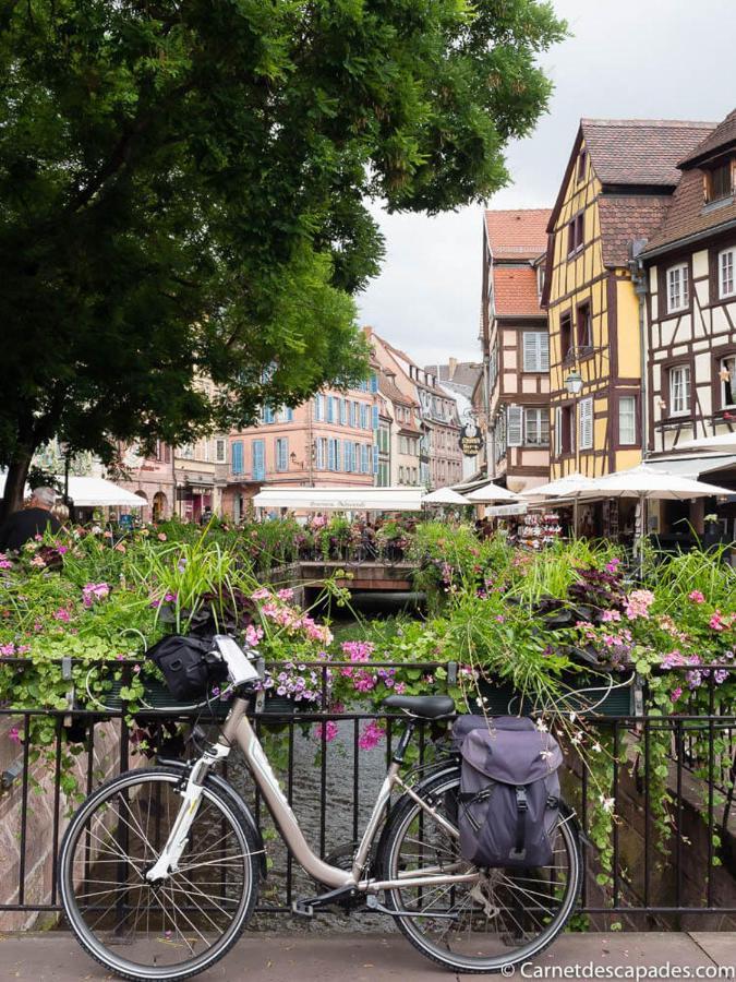 Coeur D'alsace Colmar Vignobles Ouest Avec Terrasses