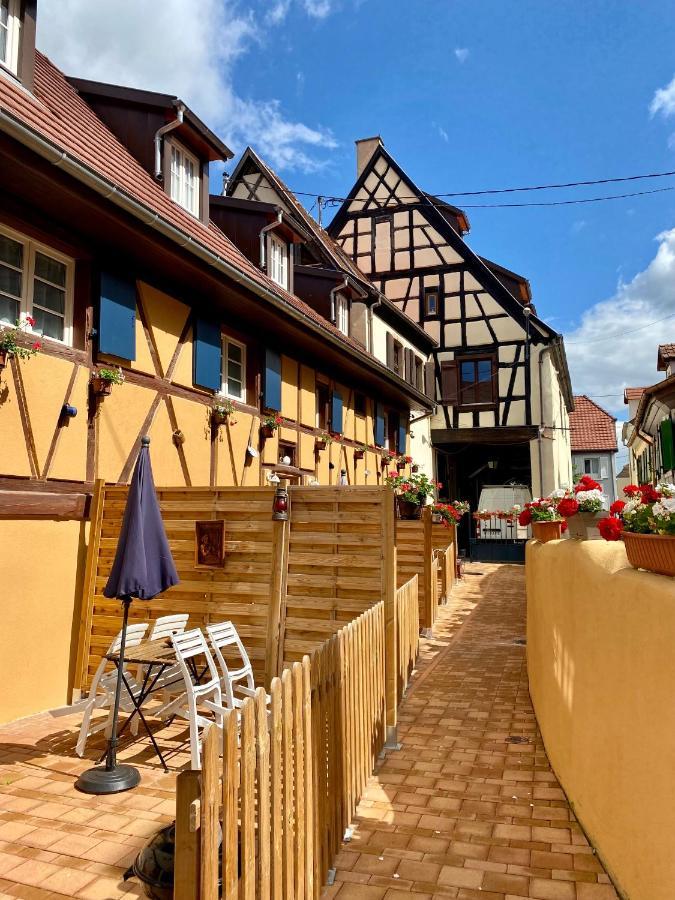 Coeur D'alsace Colmar Vignobles Ouest Avec Terrasses Villa