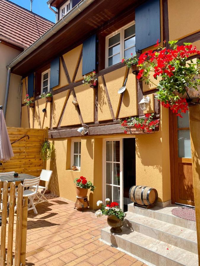 Coeur D'alsace Colmar Vignobles Ouest Avec Terrasses