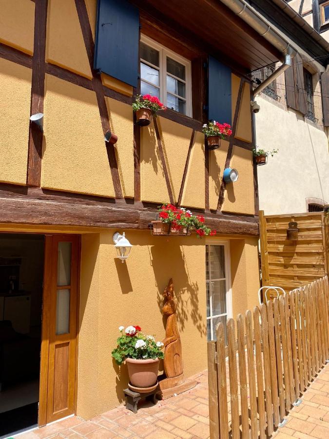 Coeur D'alsace Colmar Vignobles Ouest Avec Terrasses Villa