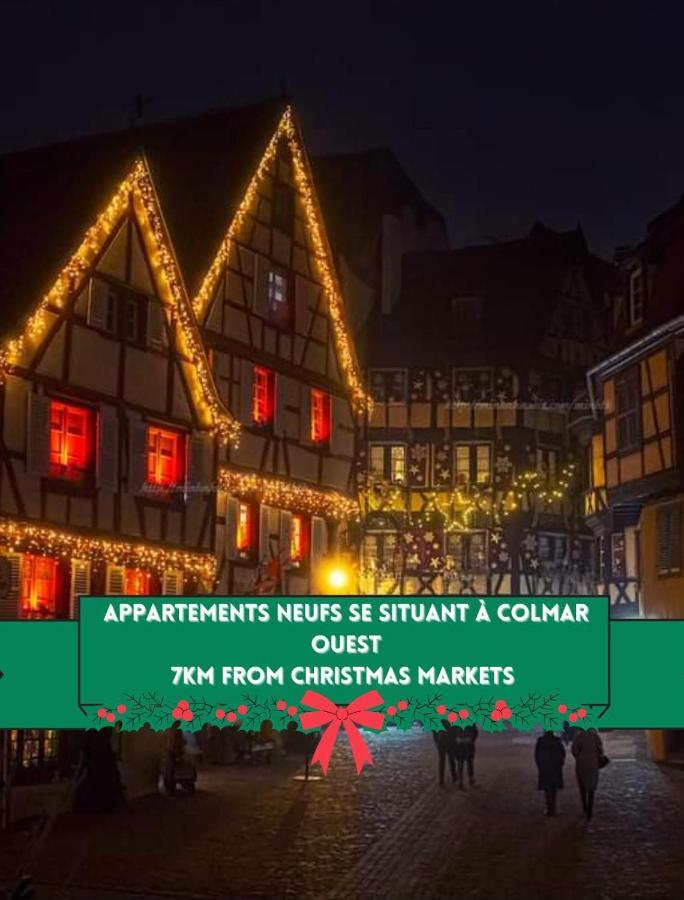 Coeur D'alsace Colmar Vignobles Ouest Avec Terrasses Villa