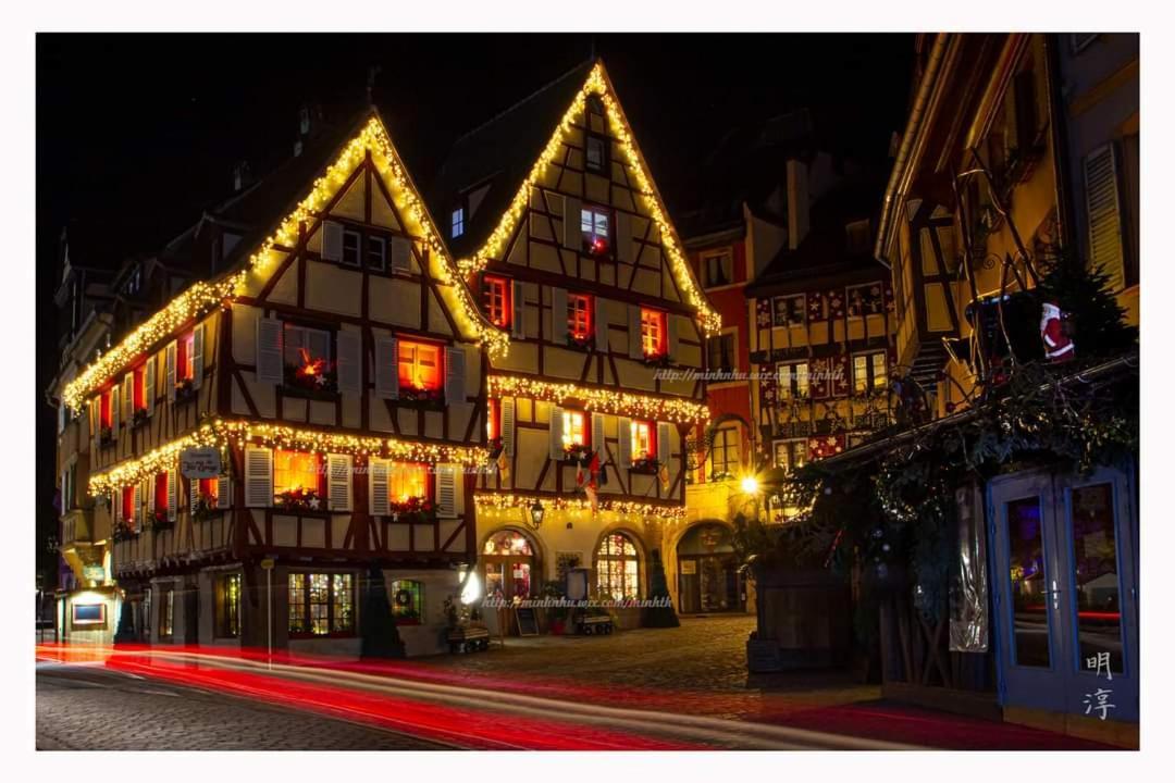 Coeur D'alsace Colmar Vignobles Ouest Avec Terrasses Villa Wintzenheim
