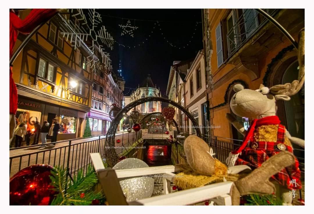 Coeur D'alsace Colmar Vignobles Ouest Avec Terrasses *