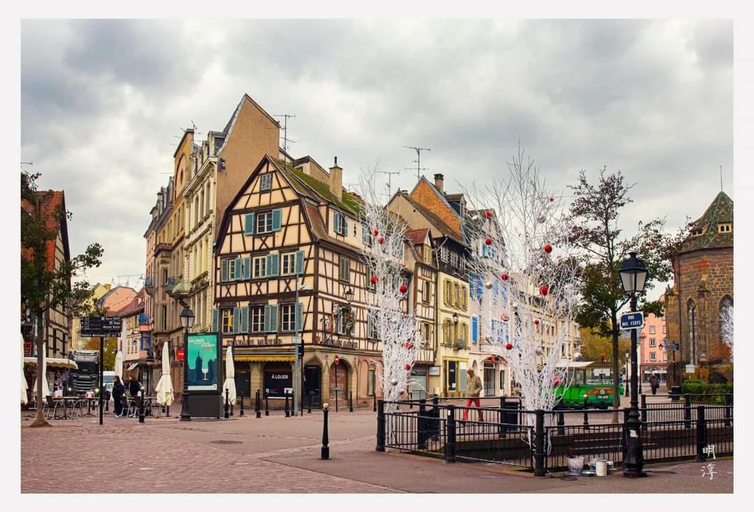 Coeur D'alsace Colmar Vignobles Ouest Avec Terrasses