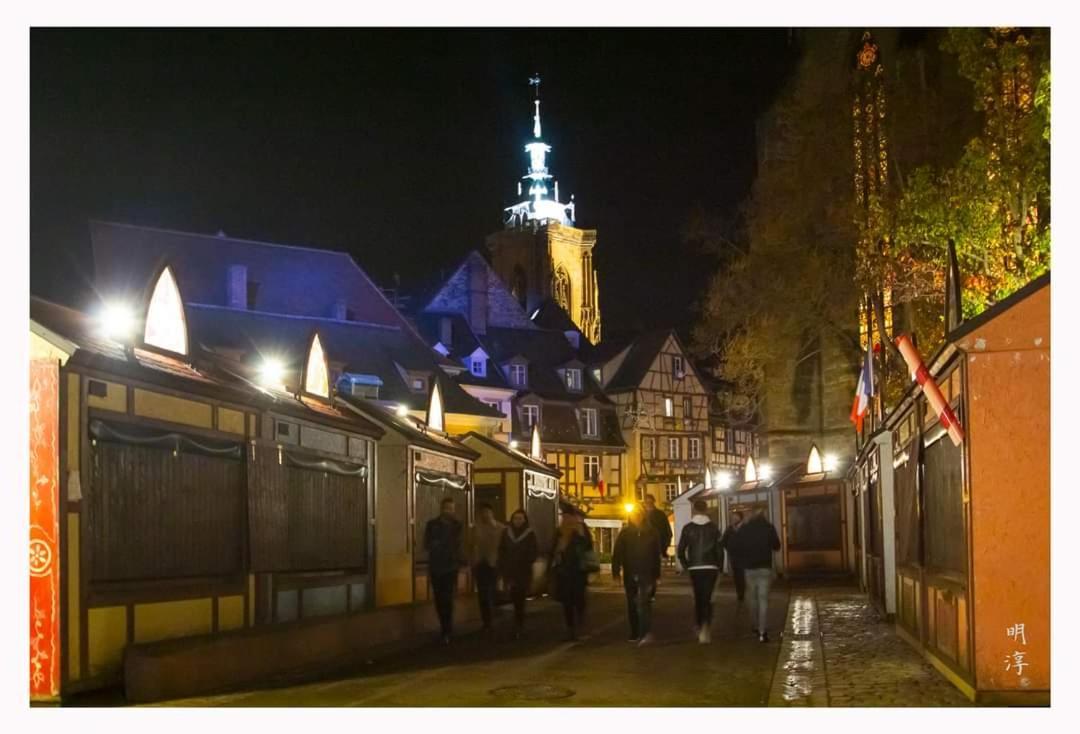 Coeur D'alsace Colmar Vignobles Ouest Avec Terrasses * Wintzenheim
